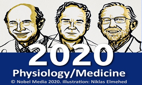 جایزه نوبل پزشکی 2020