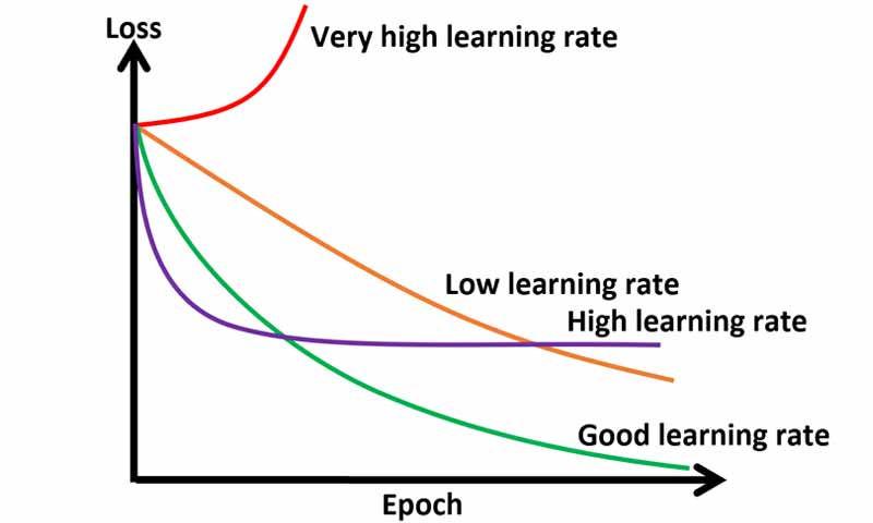 نرخ یادگیری در شبکه های عصبی