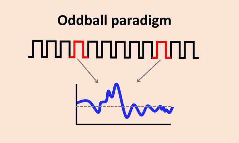 پارادایم عجیب-غریب (Oddball paradigm) در واسط مغز-کامپیوتر مبتنی بر P300