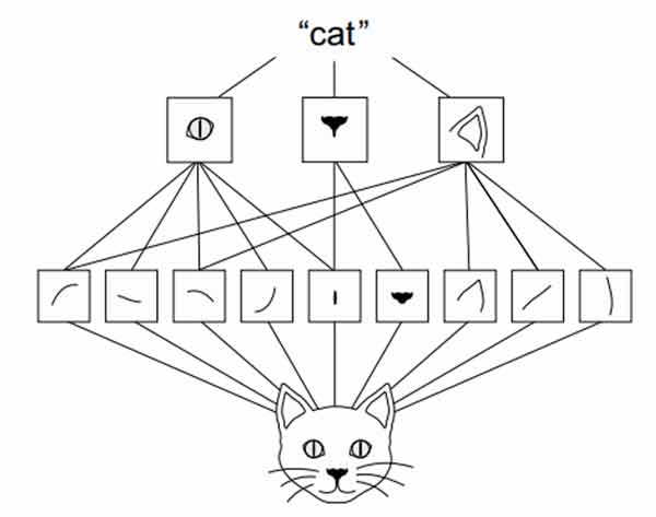 دنیای بصری از سلسله مراتب ماژول‌های بصری تشکیل شده است: خطوط اولیه یا بافت‌های اولیه به اجزای ساده‌ای چون چشم‌ها یا گوش‌ها تبدیل می‌شوند و در نهایت به مفاهیم سطح بالاتری چون «گربه» می‌رسند.