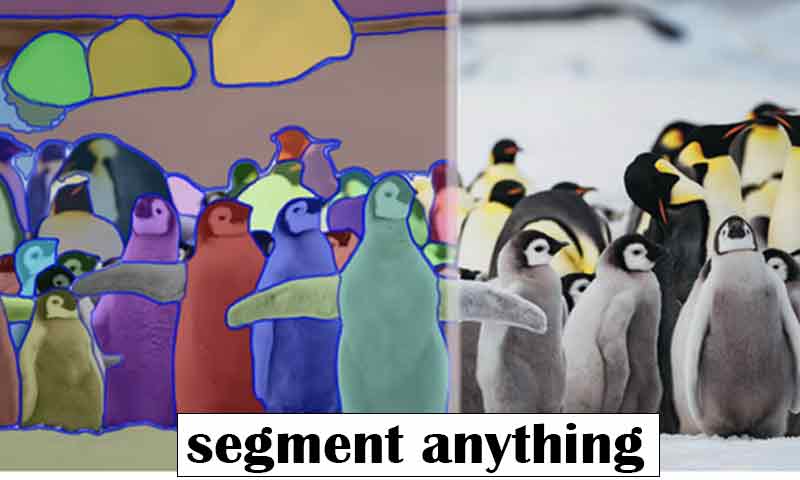 معرفی مدل Segment Anything (SAM): پیش به سوی اولین مدل پایه برای سگمنت بندی تصویر