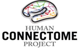 Human Connectome Project