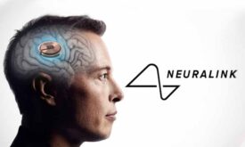 ایلان ماسک مجوز قرار دادن تراشه ی کامپیوتری در مغز انسان را دریافت کرد: در این مطلب همه چیز در مورد نورالینک آمده است.