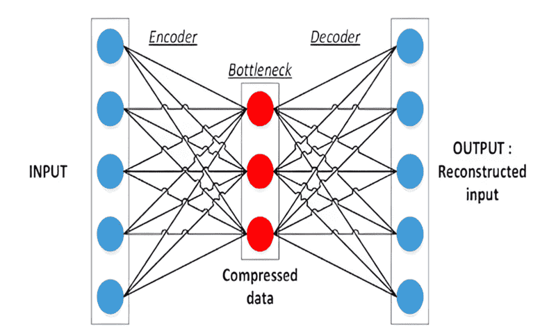 Representation of Autoencoder