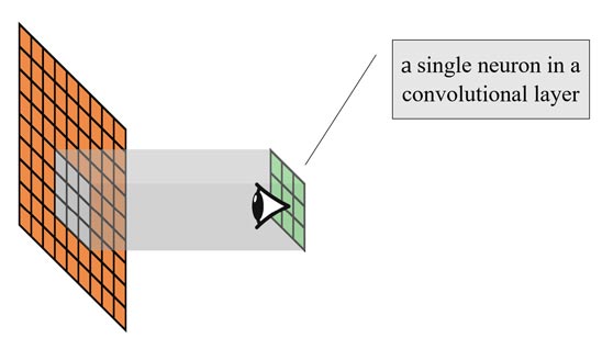 میدان دید receptive field