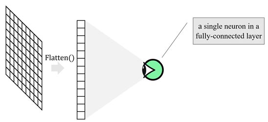 میدان دید receptive field