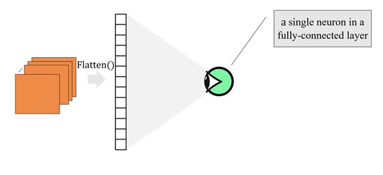 میدان دید receptive field