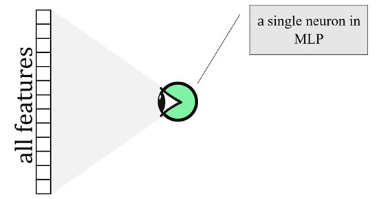 میدان دید receptive field