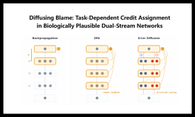 Diffusing Blame: Task-Dependent Credit Assignment in Biologically Plausible Dual-Stream Networks