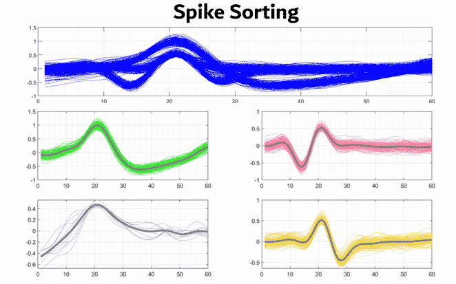 کد پروژه spike sorting